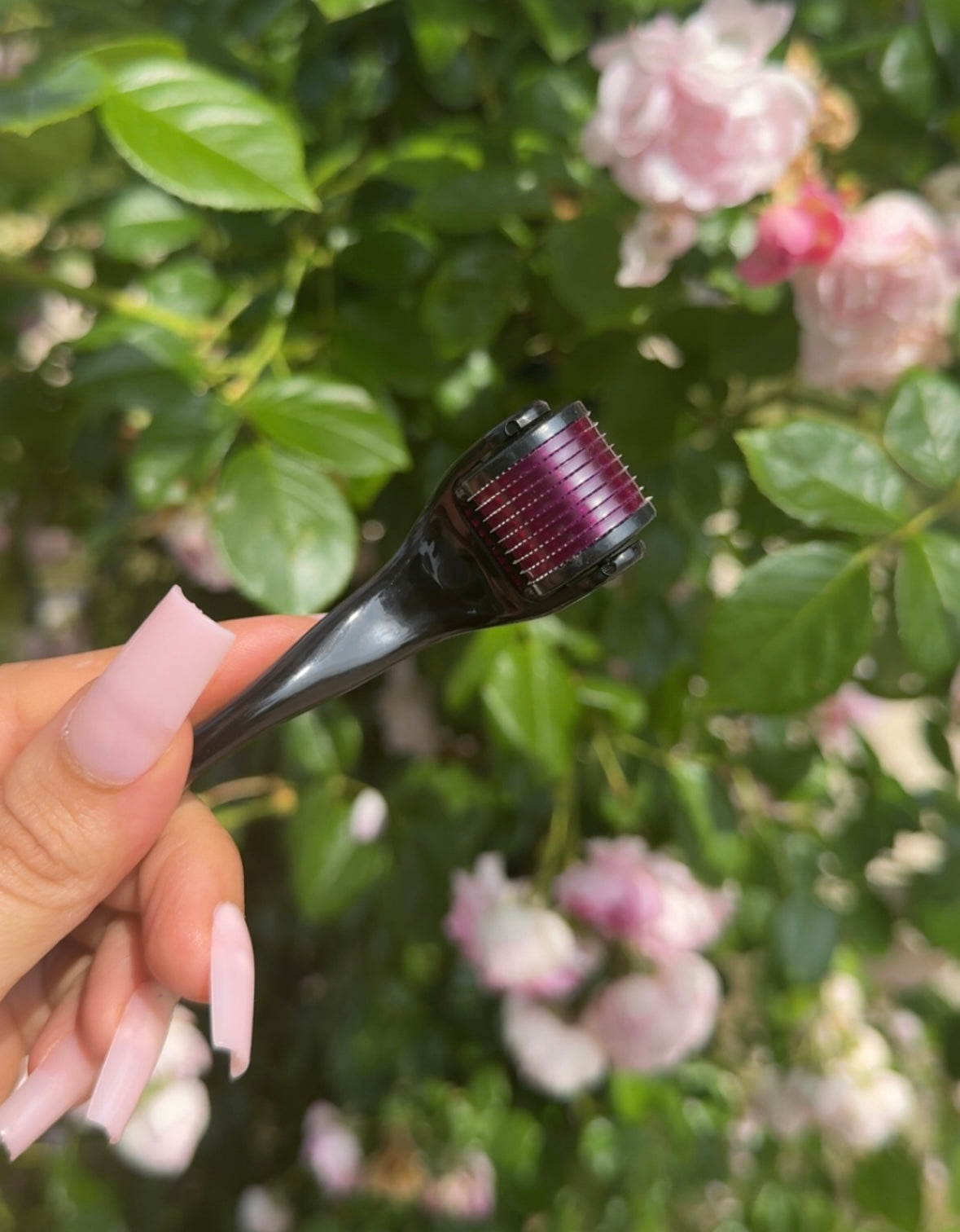 Stimulateur Pousse