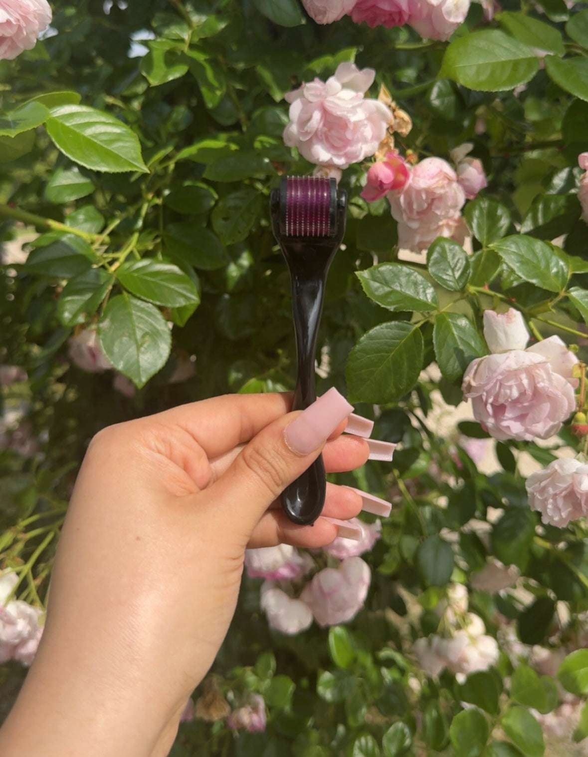 Stimulateur Pousse